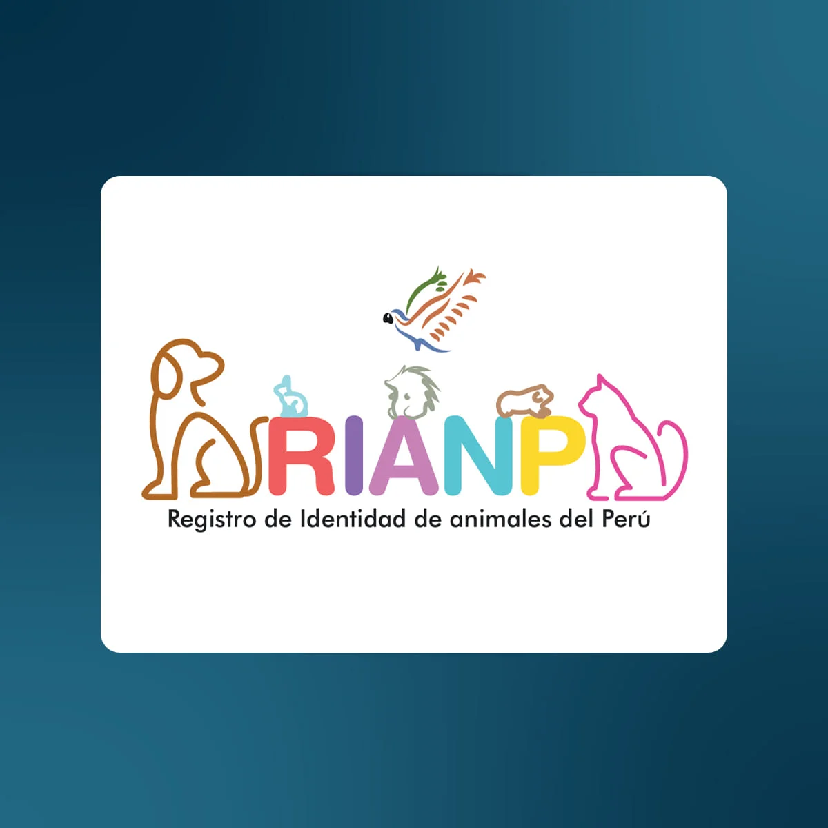 Logo RIANP